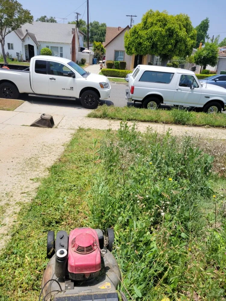 Expert landscape installation in Los Angeles, CA - Arias Garden Service and Landscaping