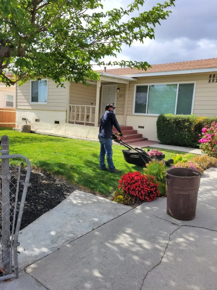 Expert residential landscaping in Los Angeles, CA by Arias Garden Service and Landscaping