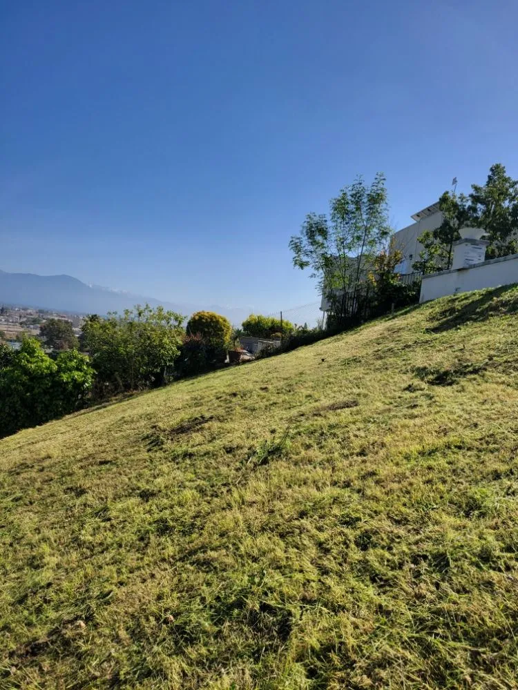 Expert yard cleanup service with custom design across Los Angeles, CA - Arias Garden Service and Landscaping