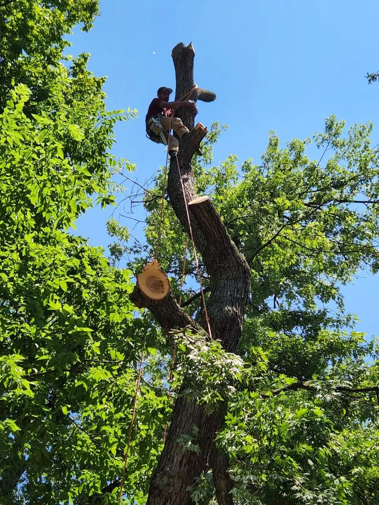 Trusted landscaping services near you across Dayton, OH - Arias Landscape & Design