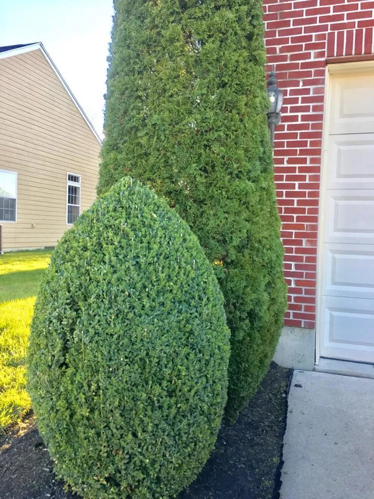 Professional garden landscaping in Dayton, OH - Arias Landscape & Design