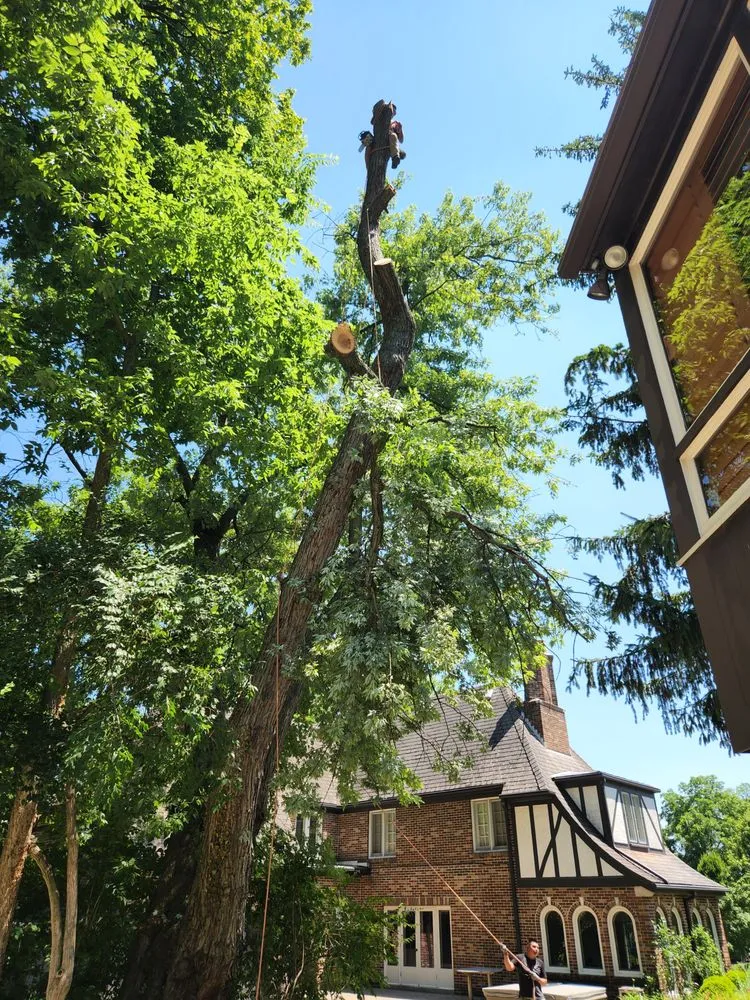 Custom landscape design in Dayton, OH by Arias Landscape & Design