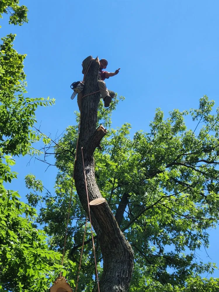 Trusted landscaping services in Dayton, OH by Arias Landscape & Design