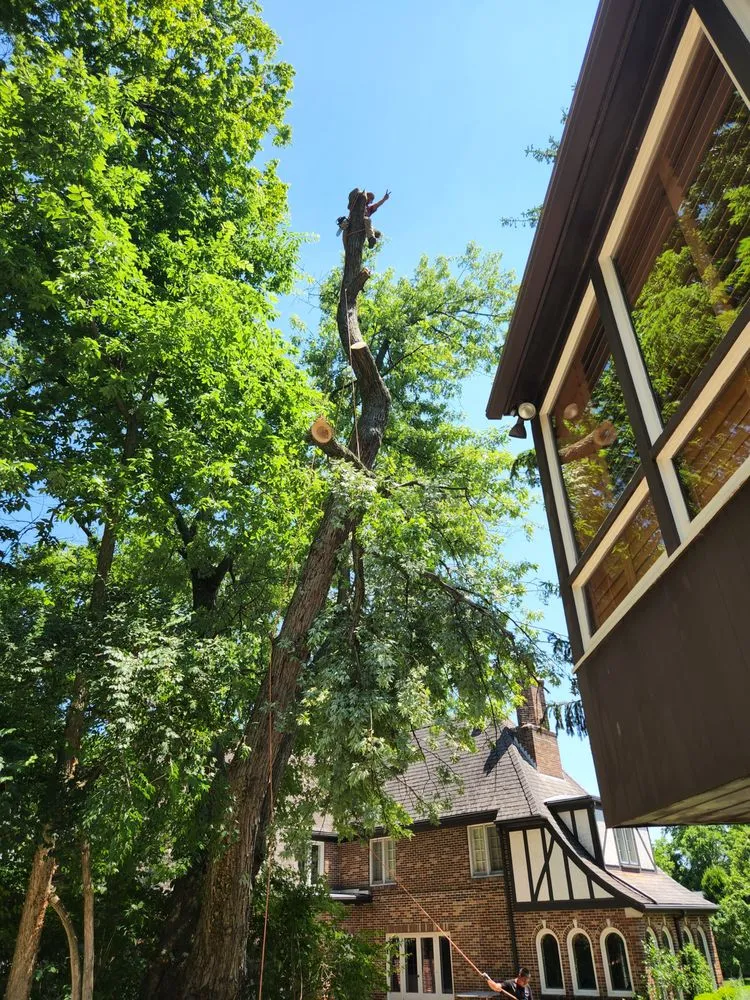 Custom residential landscaping in Dayton, OH by Arias Landscape & Design