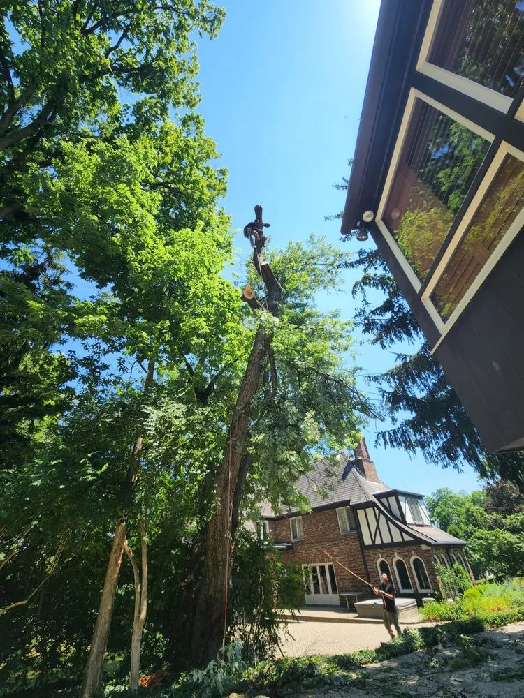 Professional yard maintenance in Dayton, OH - Arias Landscape & Design