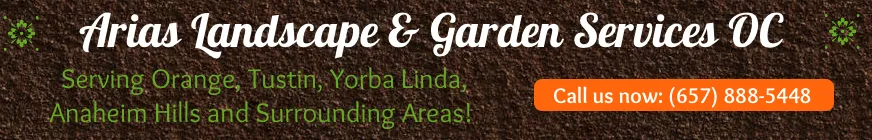 Reliable yard maintenance in Orange, CA by Arias Landscape and Garden Service