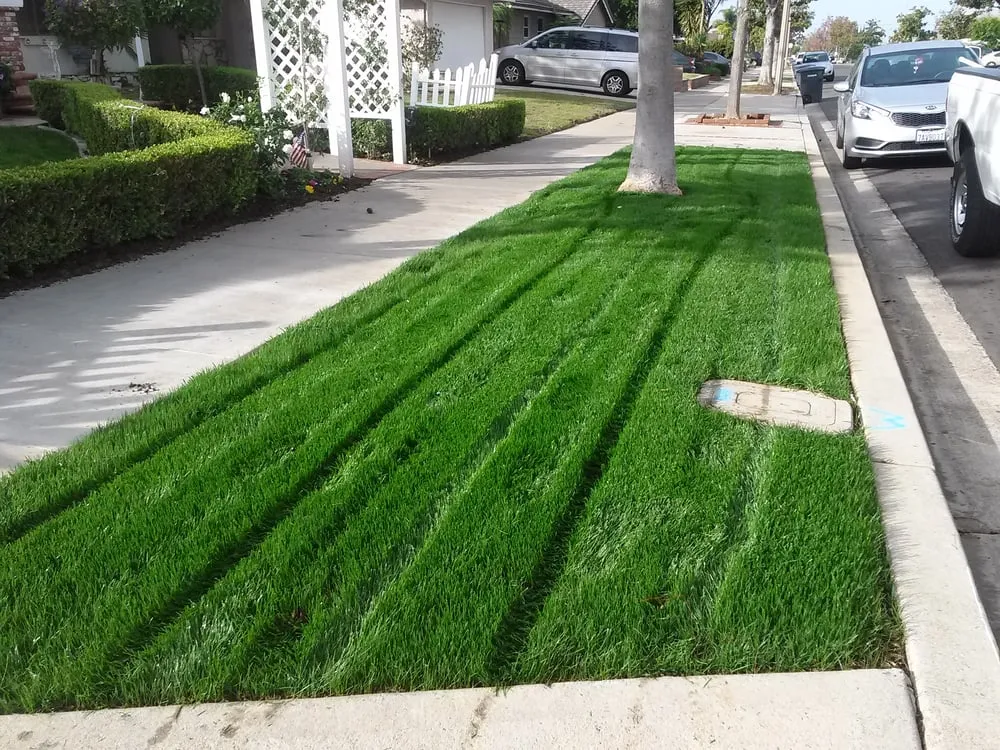 Top-rated lawn mowing service in Orange, CA - Arias Landscape and Garden Service