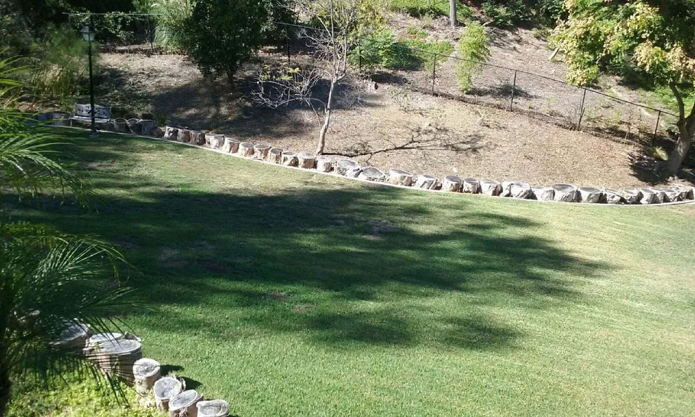 Expert lawn care service for outdoor upgrades across Orange, CA - Arias Landscape and Garden Service