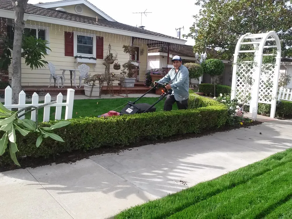 Top-rated landscaping services for beautiful yards in Orange, CA by Arias Landscape and Garden Service