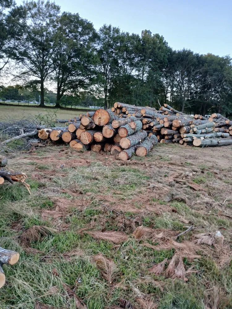 Professional landscape design for homes in Chicago, IL by Arias Landscaping