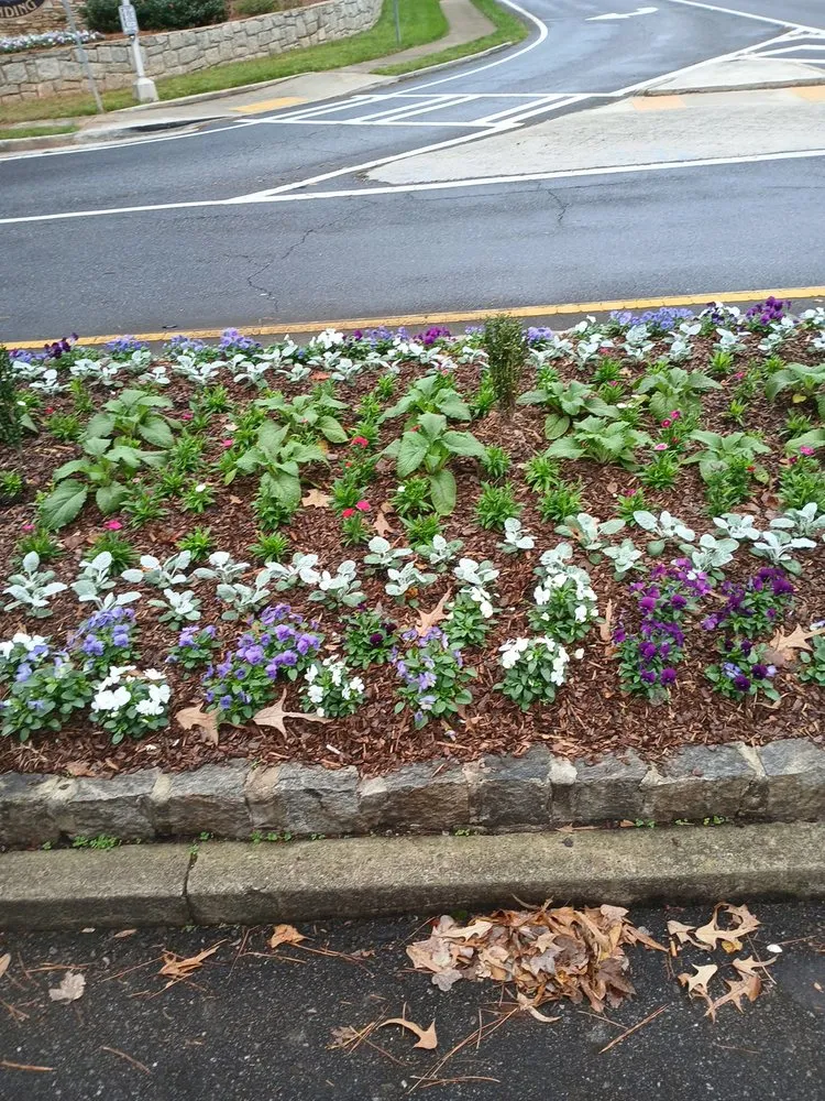 Reliable yard maintenance for residential properties across Chicago, IL - Arias Landscaping