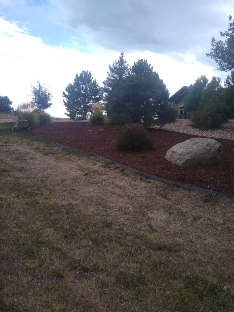 Reliable lawn care service in Castle Rock, CO by Arias landscaping Concrete & Painting
