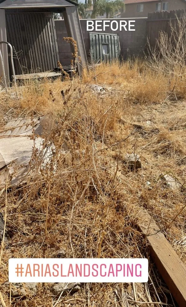 Custom yard cleanup service near you across Fontana, CA - Arias Landscaping