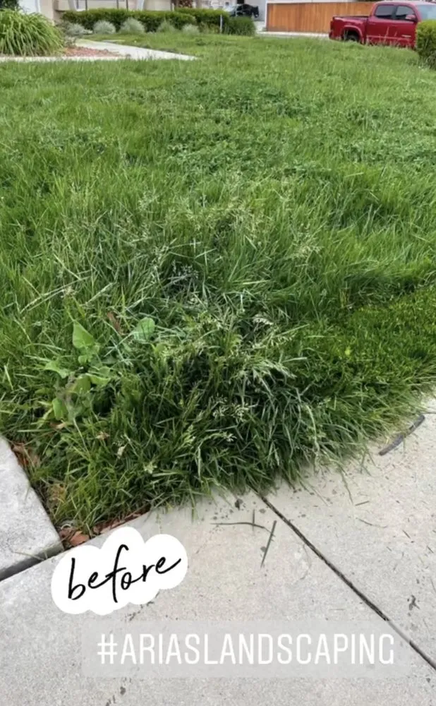 Trusted landscape design for homes in Fontana, CA by Arias Landscaping