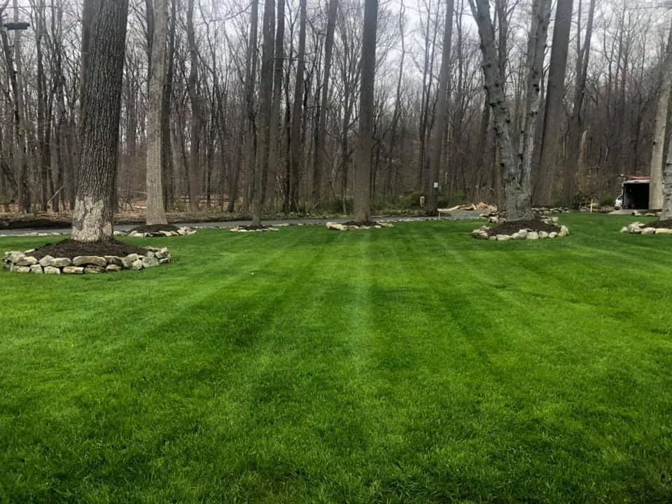 Custom landscaping services in Union, NJ by Arias Landscaping