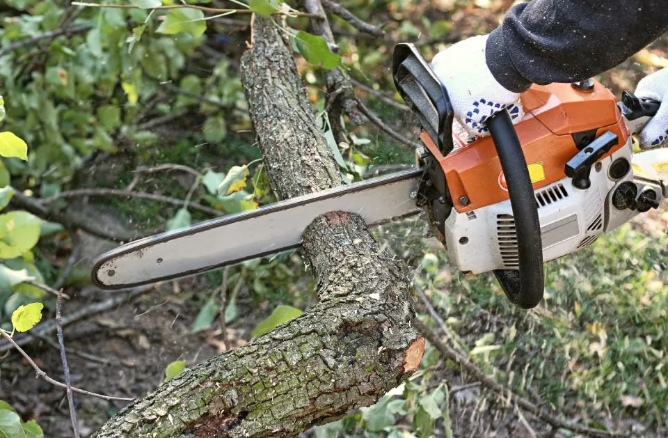 Custom landscaping services for residential properties in College Station, TX by Arias Lawn & Tree Service