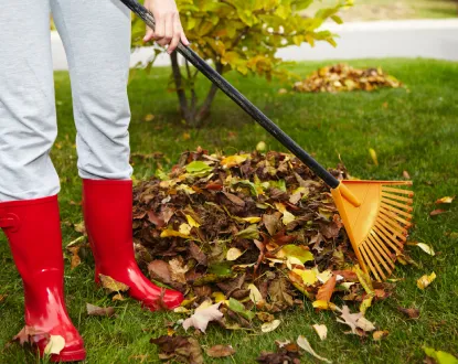 Professional landscaping services with custom design in College Station, TX by Arias Lawn & Tree Service