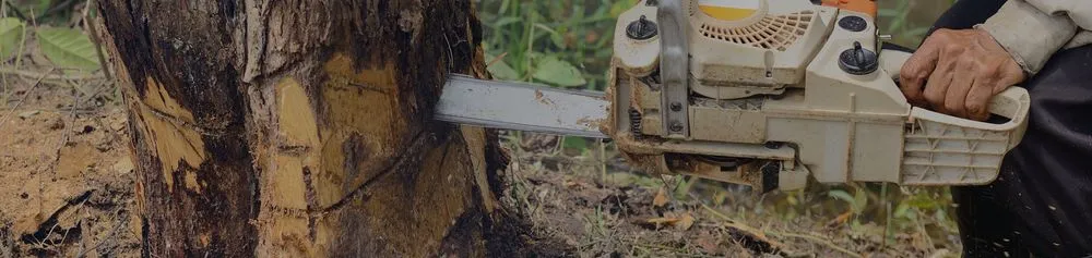 Affordable outdoor landscaping experts serving College Station, TX - Arias Lawn & Tree Service