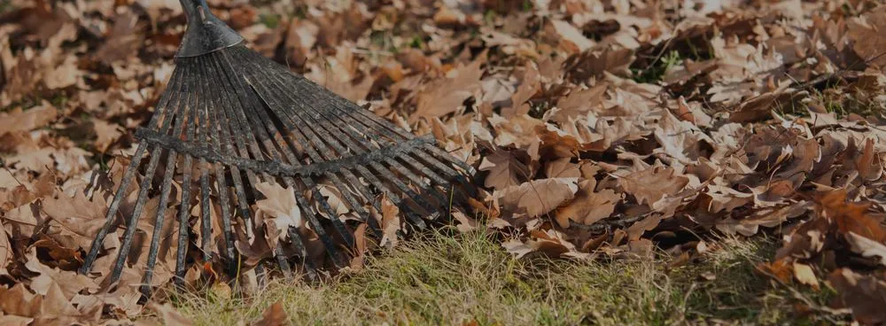 Local garden landscaping in College Station, TX - Arias Lawn & Tree Service