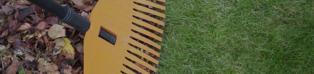 Custom landscape design experts serving College Station, TX - Arias Lawn & Tree Service