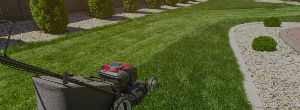 Custom landscape installation for year-round maintenance in College Station, TX by Arias Lawn & Tree Service