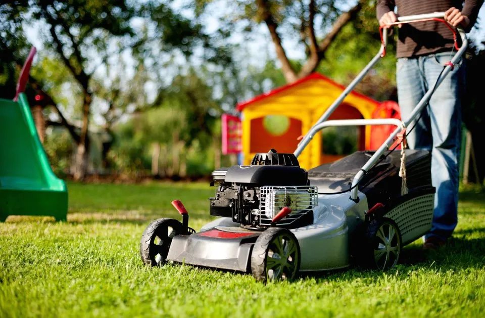 Top-rated outdoor landscaping for beautiful yards across College Station, TX - Arias Lawn & Tree Service