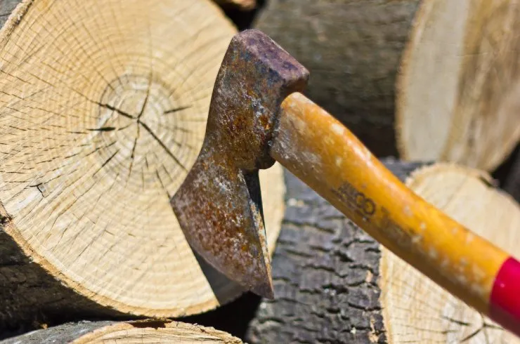 Expert residential landscaping in College Station, TX by Arias Lawn & Tree Service