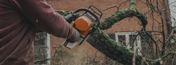 Arias Lawn & Tree Service Logo