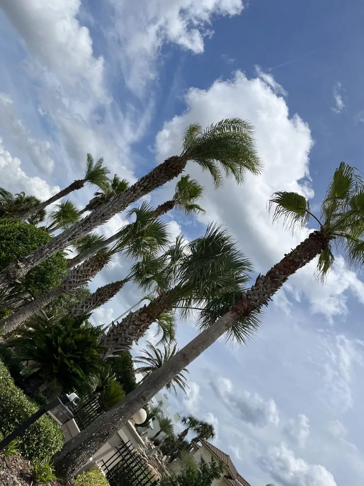 Top-rated yard maintenance for residential properties in Jacksonville, FL by Aria's Lawn Care & Landscaping