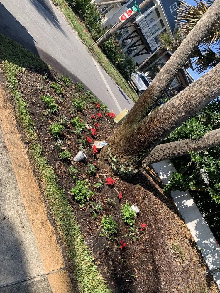 Expert garden landscaping in Jacksonville, FL by Aria's Lawn Care & Landscaping