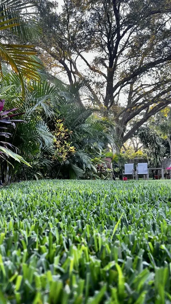 Expert outdoor landscaping for year-round maintenance across Jacksonville, FL - Aria's Lawn Care & Landscaping
