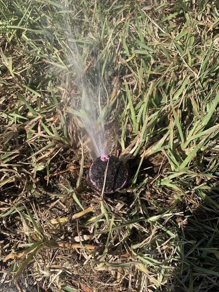 Local yard cleanup service for year-round maintenance in Jacksonville, FL by Aria's Lawn Care & Landscaping