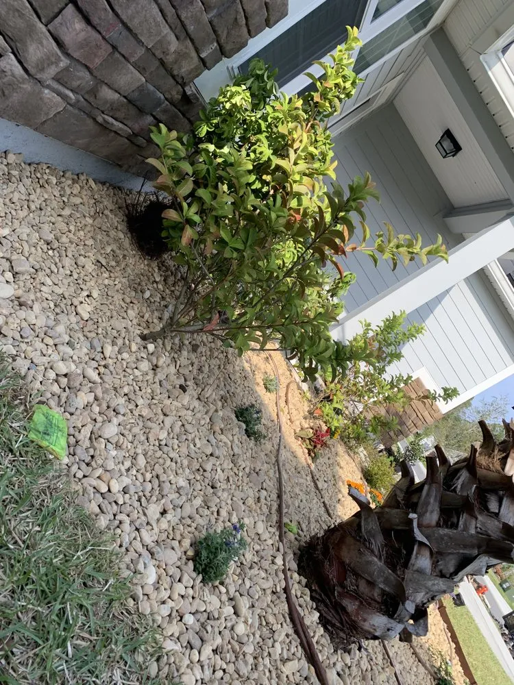 Expert yard cleanup service in Jacksonville, FL - Aria's Lawn Care & Landscaping