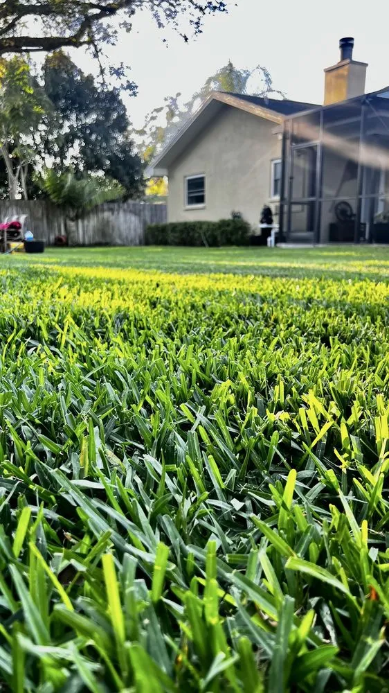 Professional landscape installation in Jacksonville, FL by Aria's Lawn Care & Landscaping