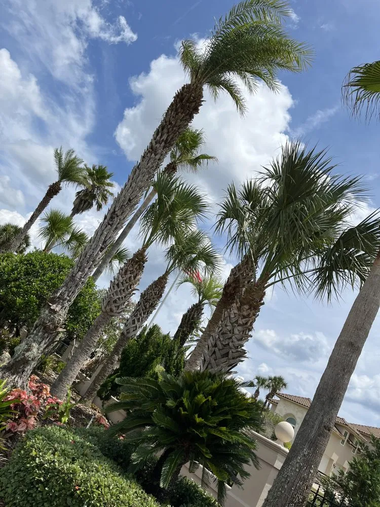 Professional yard maintenance experts serving Jacksonville, FL - Aria's Lawn Care & Landscaping