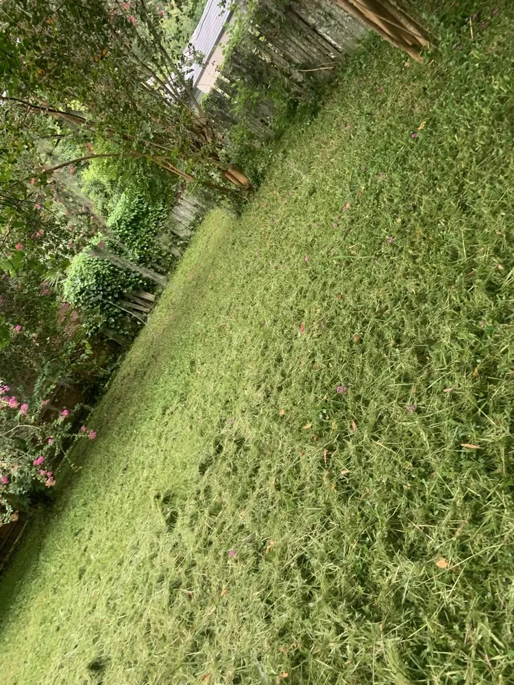 Top-rated garden landscaping experts serving Jacksonville, FL - Aria's Lawn Care & Landscaping