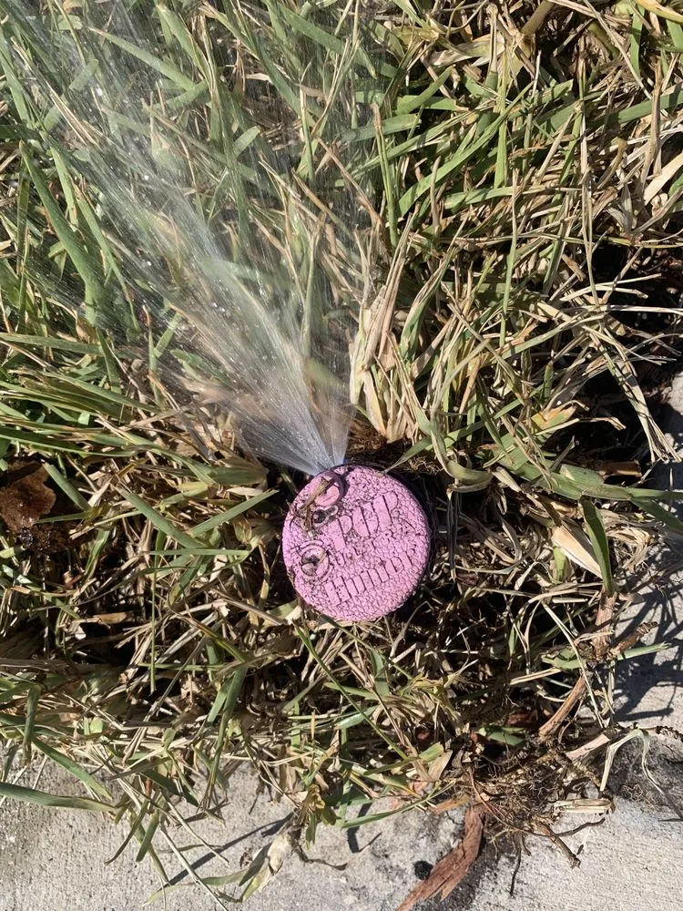 Custom yard maintenance experts serving Jacksonville, FL - Aria's Lawn Care & Landscaping