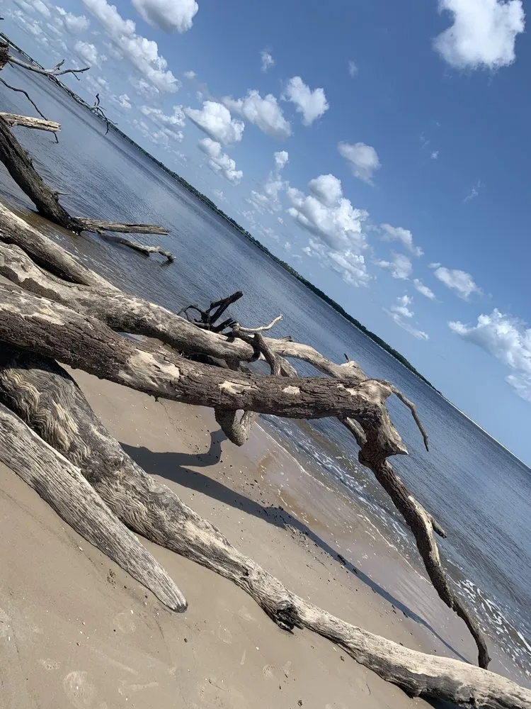 Custom lawn mowing service experts serving Jacksonville, FL - Aria's Lawn Care & Landscaping