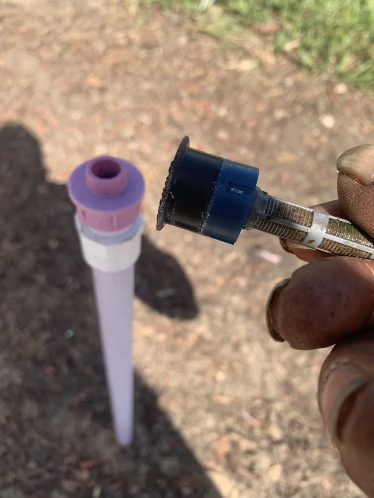 Expert landscape design for homes across Jacksonville, FL - Aria's Lawn Care & Landscaping