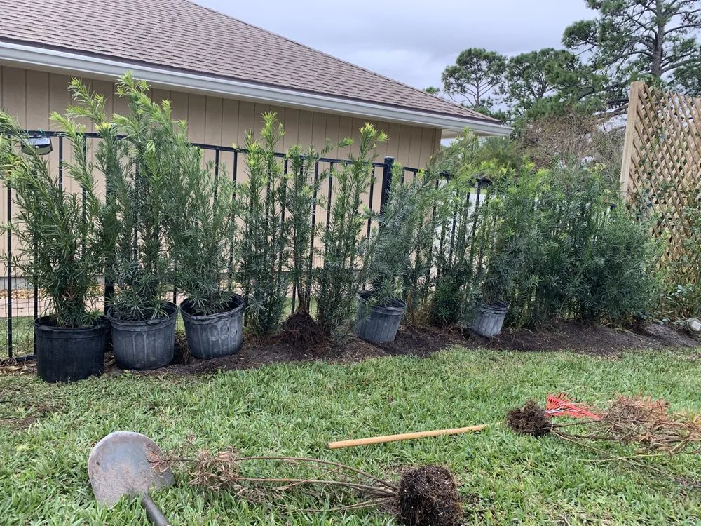 Custom landscape design in Jacksonville, FL - Aria's Lawn Care & Landscaping