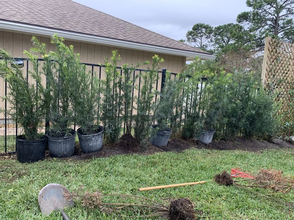 Professional residential landscaping for beautiful yards across Jacksonville, FL - Aria's Lawn Care & Landscaping