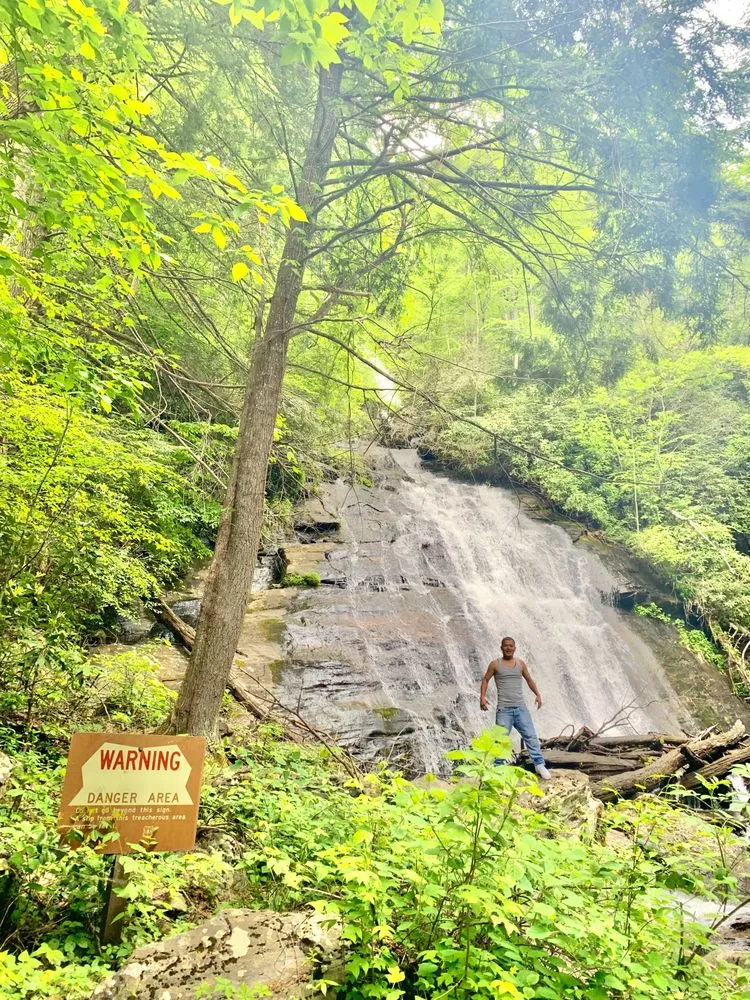 Affordable yard cleanup service in Jacksonville, FL by Aria's Lawn Care & Landscaping