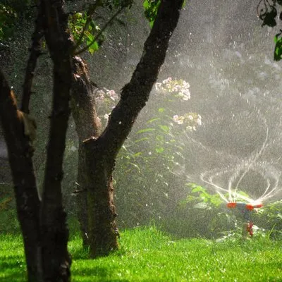 Top-rated residential landscaping experts serving Bunkerville, NV - Arias Lawn Maintenance