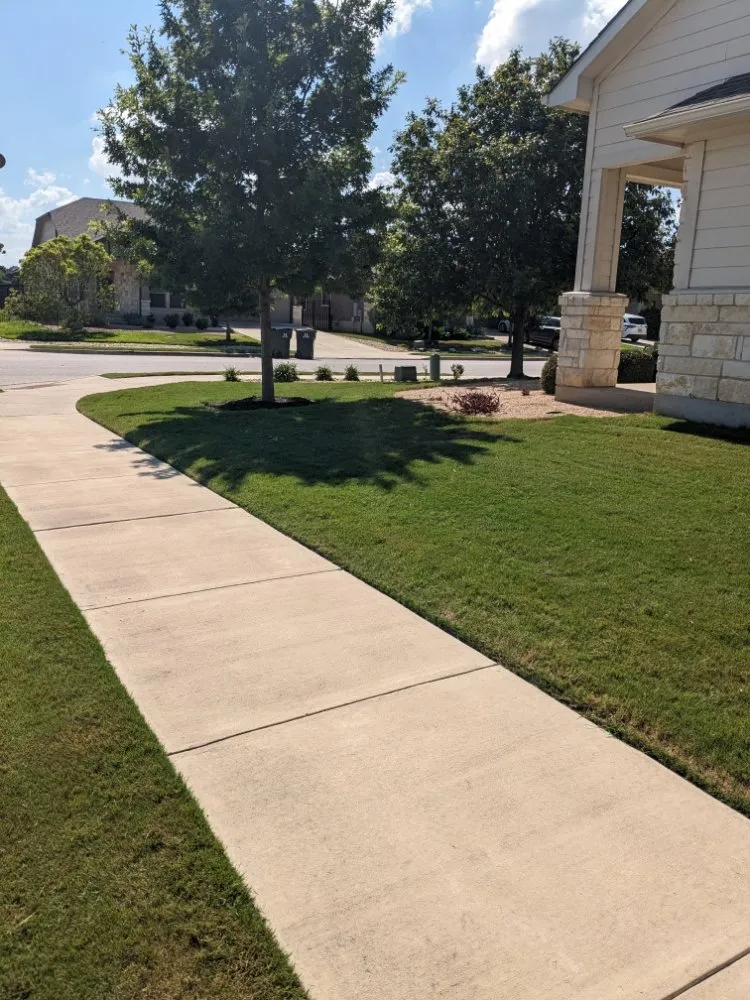 Professional yard cleanup service in Cedar Park, TX - Ariatt Lawn Care