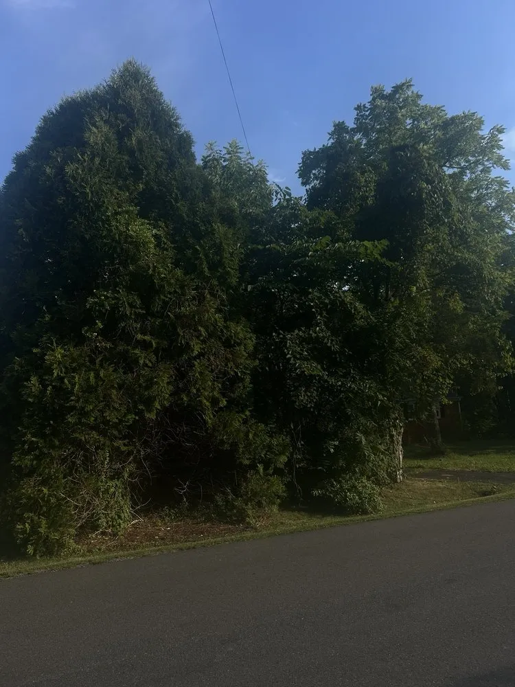 Reliable garden landscaping experts serving Stafford, VA - Aribelen Tree Services