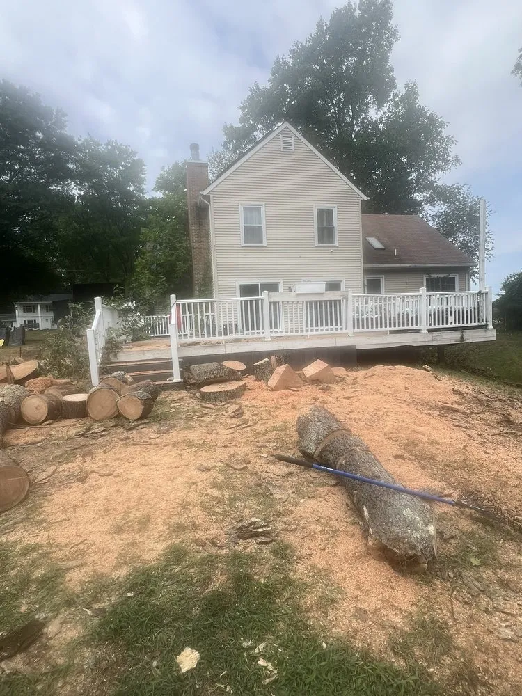 Affordable outdoor landscaping in Stafford, VA - Aribelen Tree Services