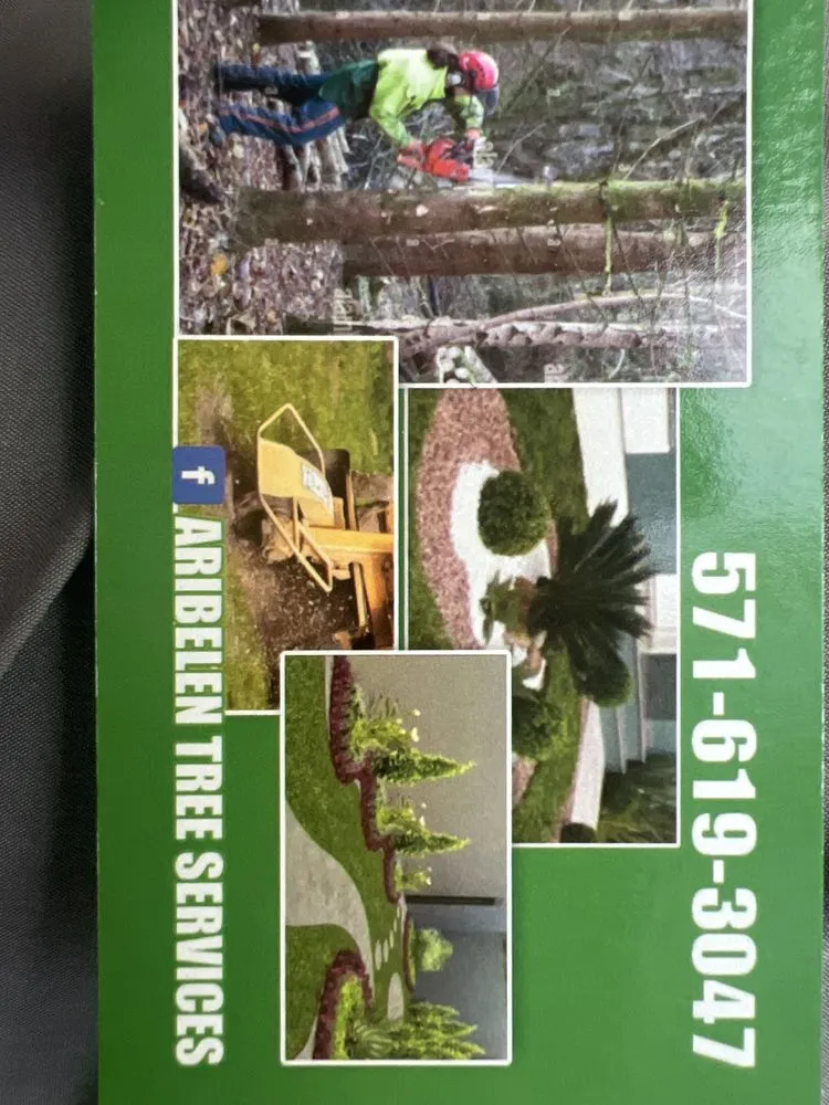 Custom garden landscaping near you in Stafford, VA by Aribelen Tree Services