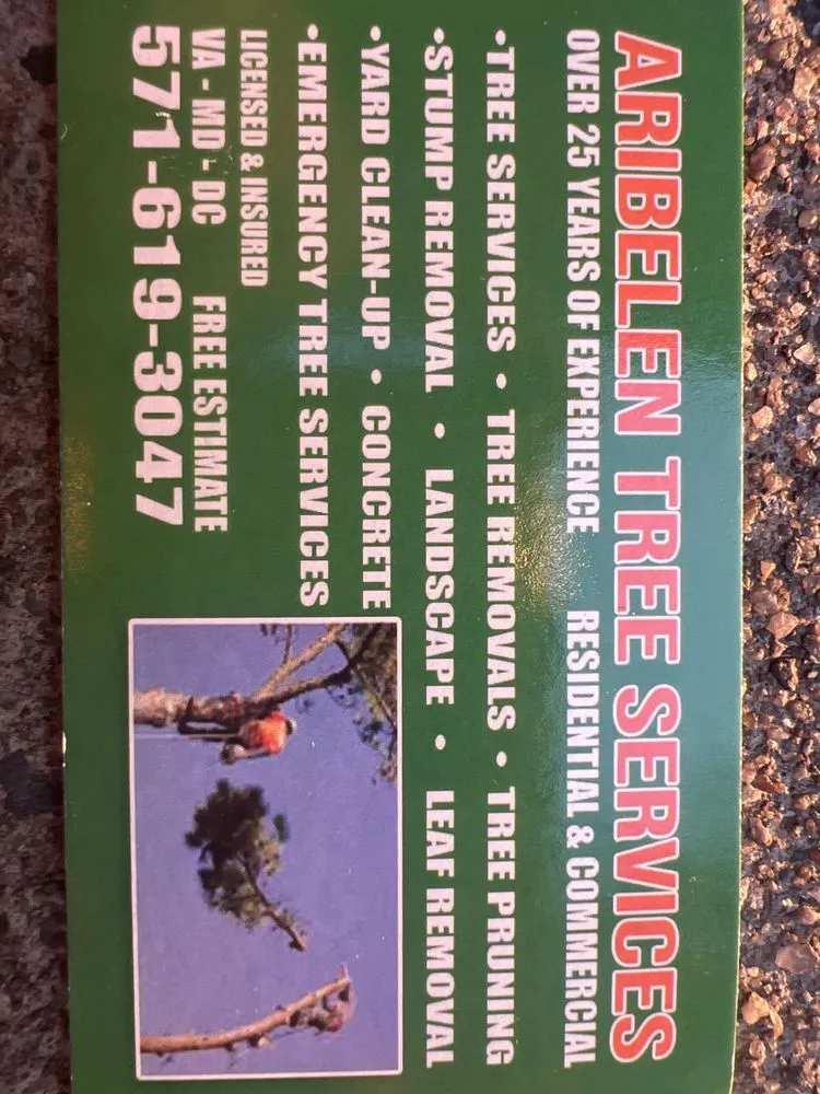 Reliable lawn mowing service in Stafford, VA by Aribelen Tree Services