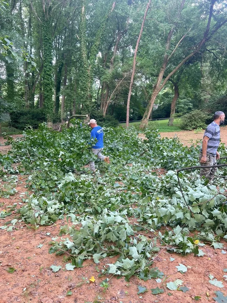 Affordable yard cleanup service for year-round maintenance in Stafford, VA by Aribelen Tree Services