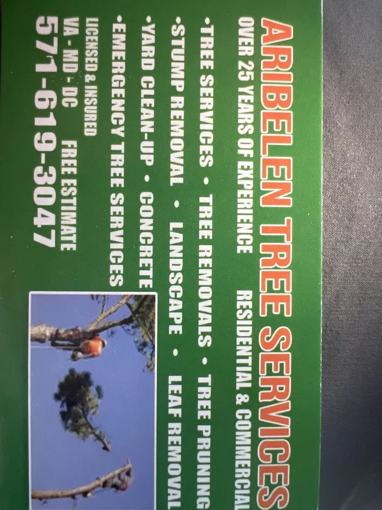 Reliable lawn care service for outdoor upgrades in Stafford, VA by Aribelen Tree Services